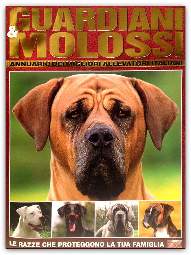 Copertina Guardiani e Molossi