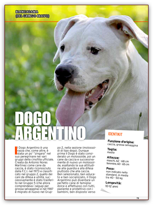 Dogo Argentino - Guardiani & Molossi