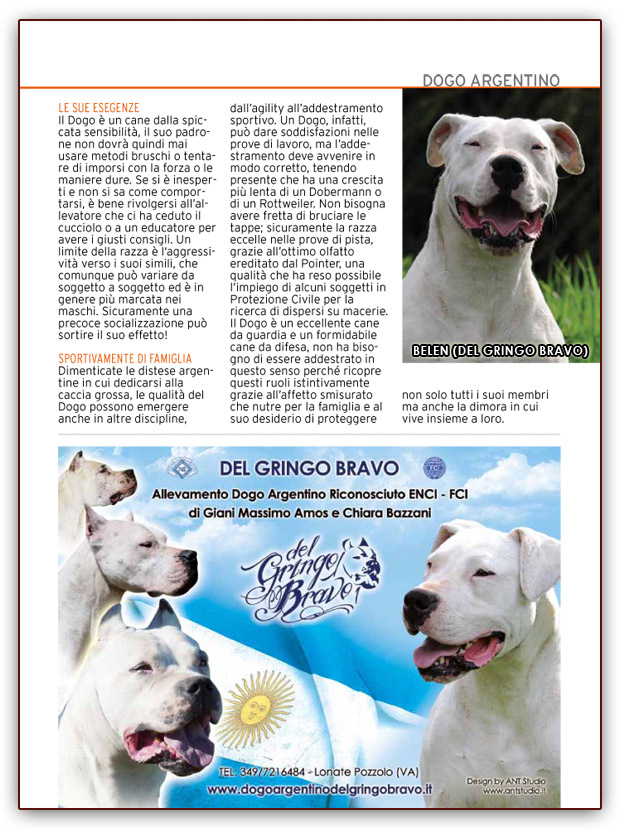 Dogo Argentino - Guardiani & Molossi