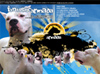 Dogo Fantastic Armada