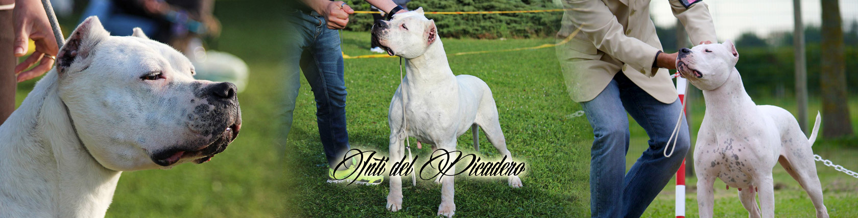 Inti del Picadero